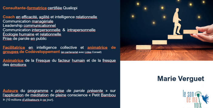 Illustration offre de services Image d'illustration de l'offre de services de Marie Verguet - Le son de ma voix